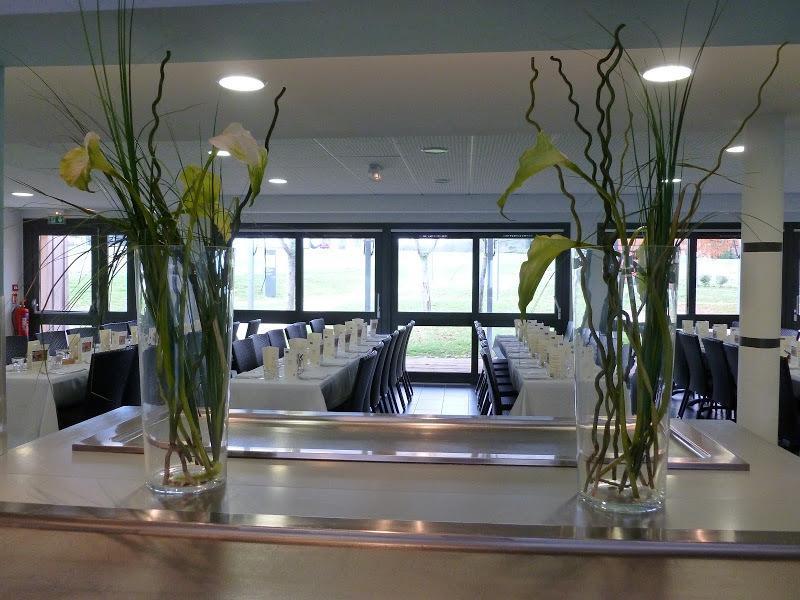 Hotel Domaine D'Ariane Mondonville Zewnętrze zdjęcie