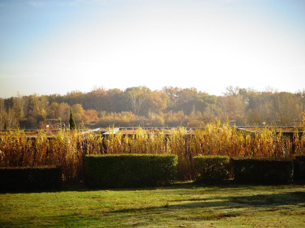 Hotel Domaine D'Ariane Mondonville Zewnętrze zdjęcie